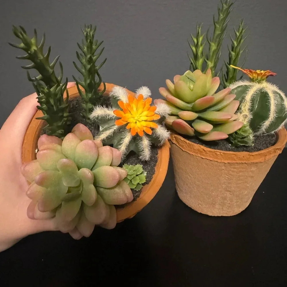 Fake succulent decor set of 2